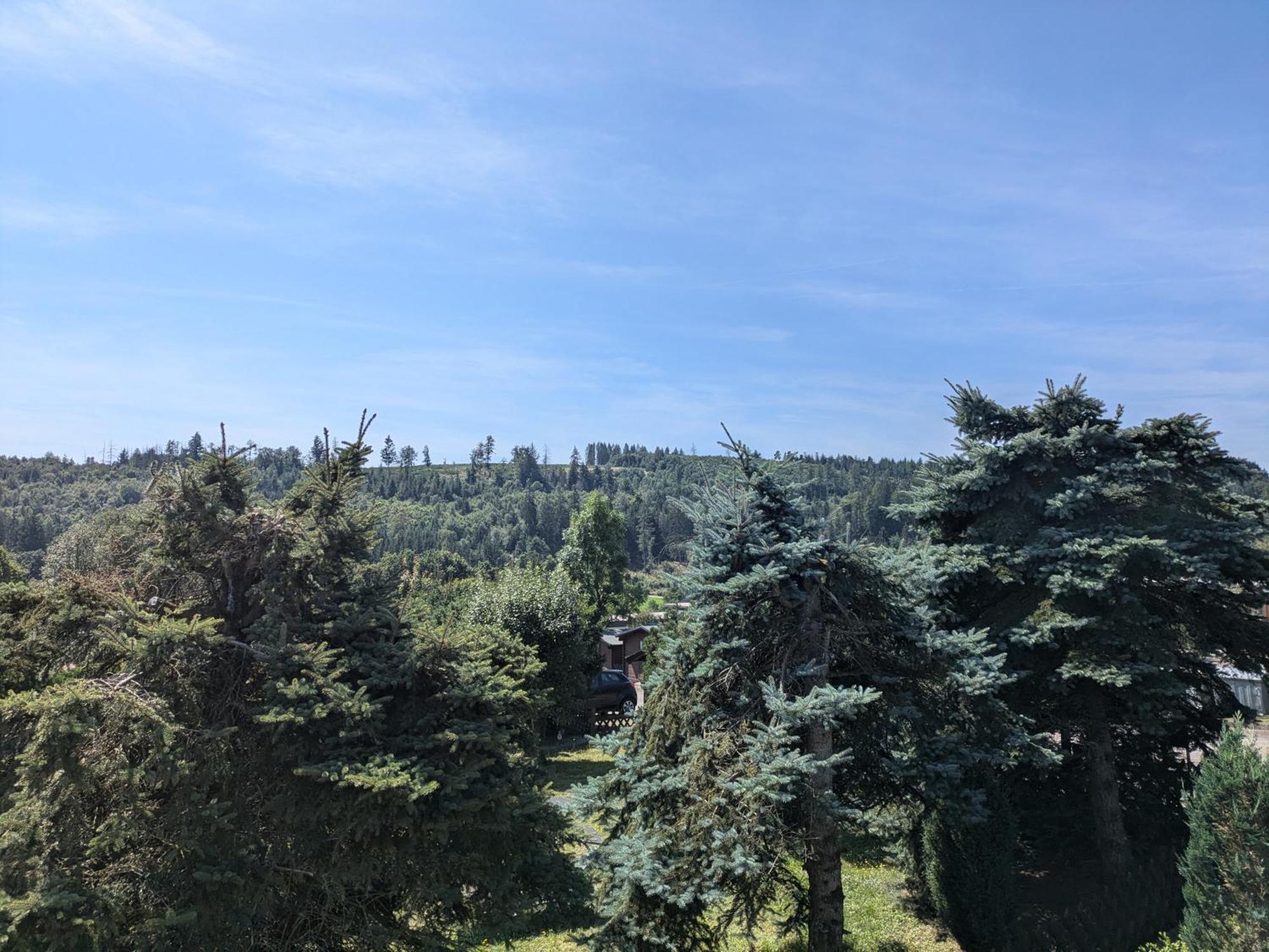 Apartment Dein Bergnest Medebach