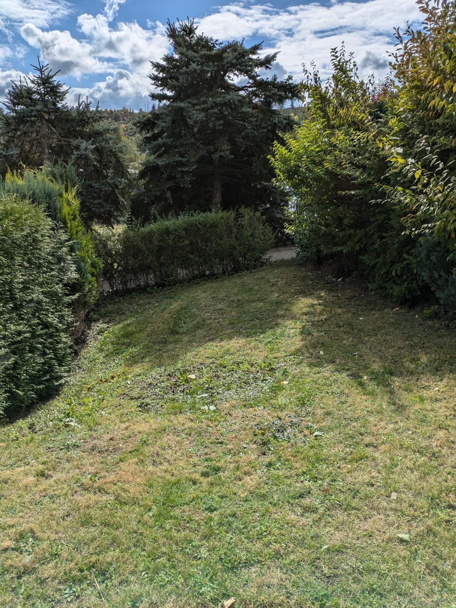 Apartament Dein Bergnest *